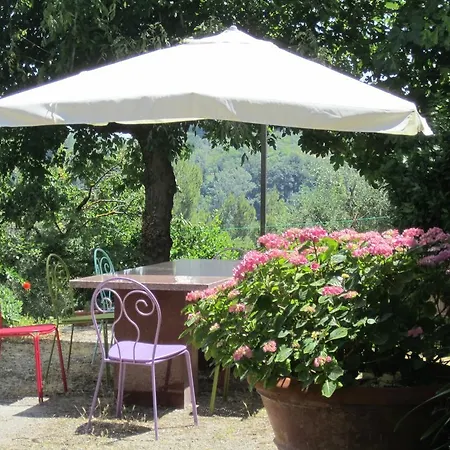 A Casa Di Lizzy